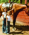mentzel_horse1a.jpg