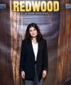 redwood_28329.jpg