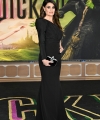 wicked-premiere-idina-menzel.jpg